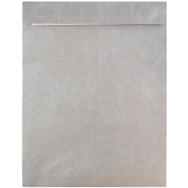 JAM 10 x 13 Tyvek Envelopes, Silver, 10/Pack