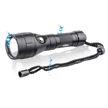 HOG 1000 Lumen LED Rechargeable Light DL-20 (Best Gun Light For Hog Hunting)