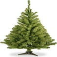 thumbnail image 1 of Artificial Mini Christmas   Green  Kincaid Spruce  Includes Stand  3 Feet, 1 of 5