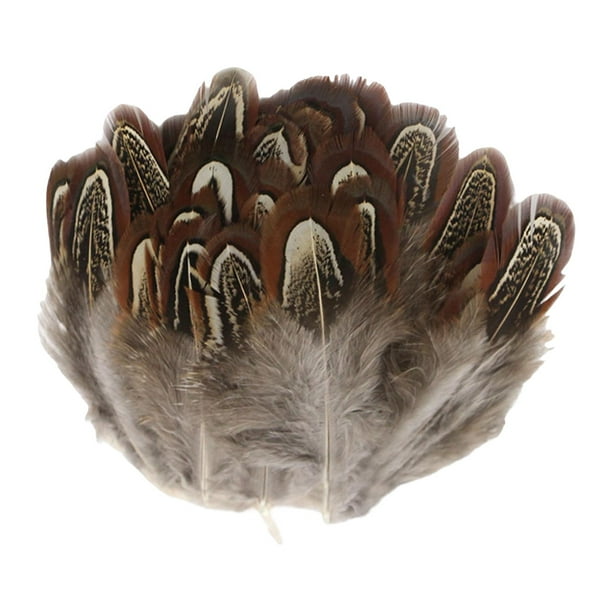 Plumas de gallo naturales Plumes Fringe Ribbon Recortar disfraces teñida para manualidades Ropa de costura Decoración de , marrón perfecl plumas de pollo