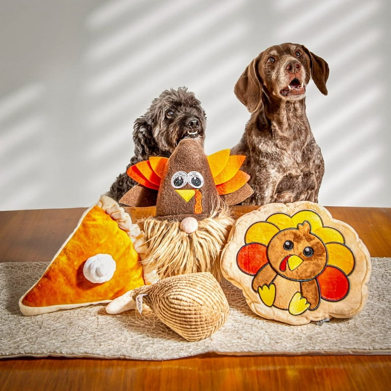 Dog Stimulation Toy Thanksgiving Turkey 
