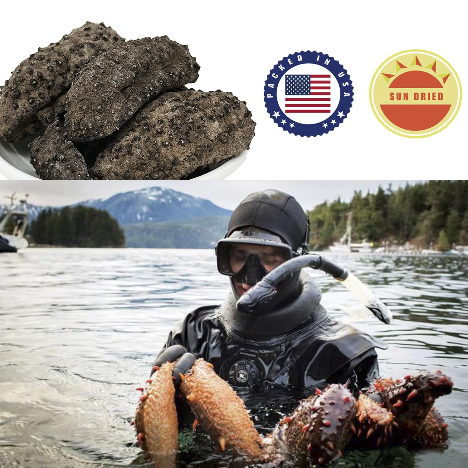 AAA Grade Sun Dried Wild Caught South American Sea Cucumber Medium 1lb box