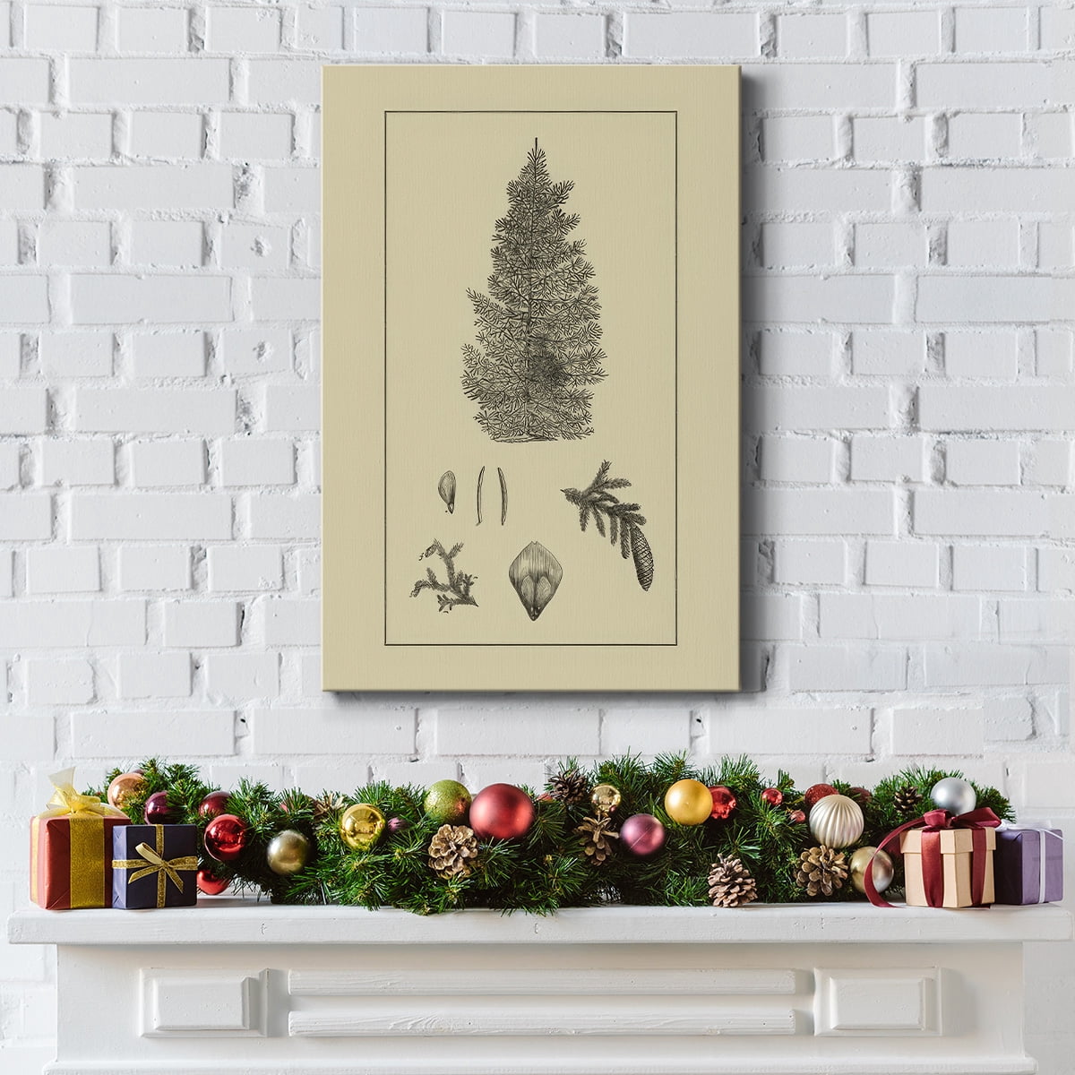 Arbor Study I- Gallery Wrapped Canvas
