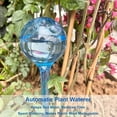 thumbnail image 2 of tredstone 5 Pcs Globe d'Arrosage Automatique pour Plantes Dispositif d'Irrigation Automatique en PVC Vert Rond 1Ensemble, 2 of 6