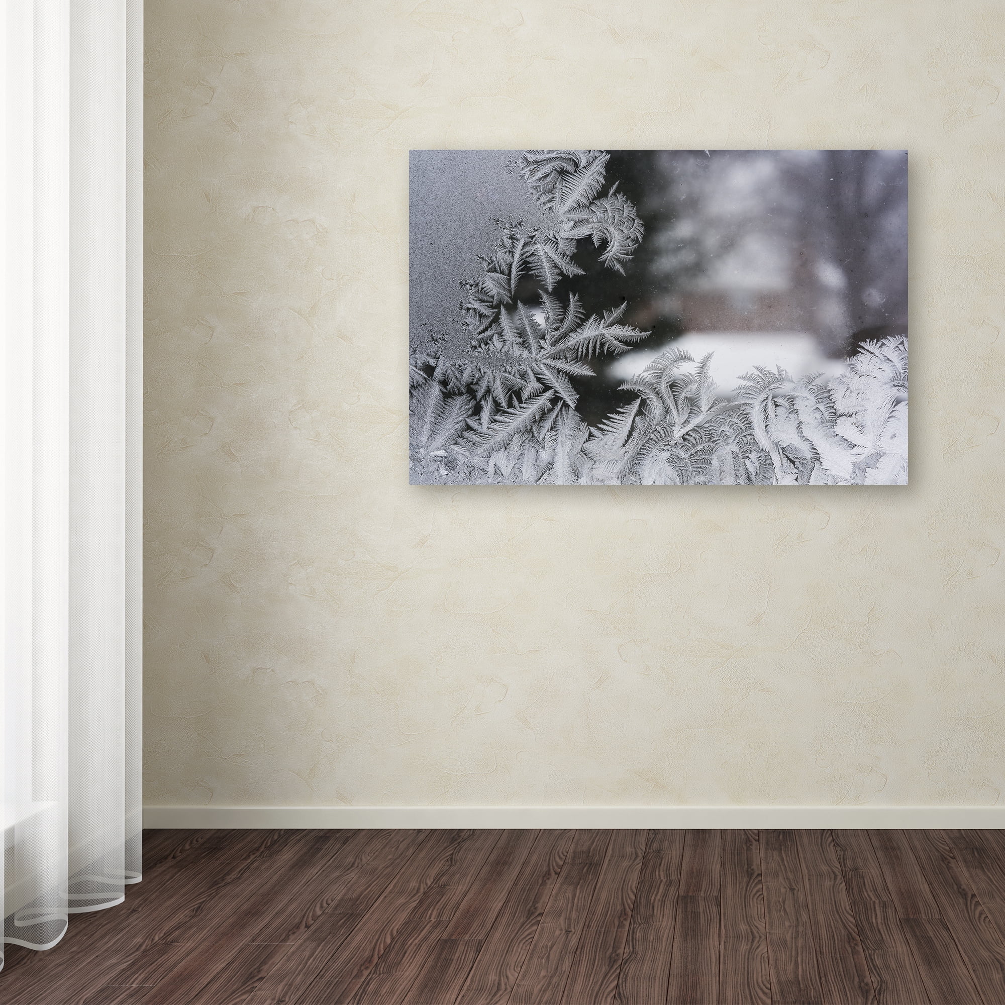 Trademark Fine Art 'Frost on my Window IV' Canvas Art by Kurt Shaffer