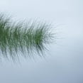 thumbnail image 2 of Art.com Hebridean Haiku Photographic Print by Doug Chinnery, 16" x 16", 2 of 4