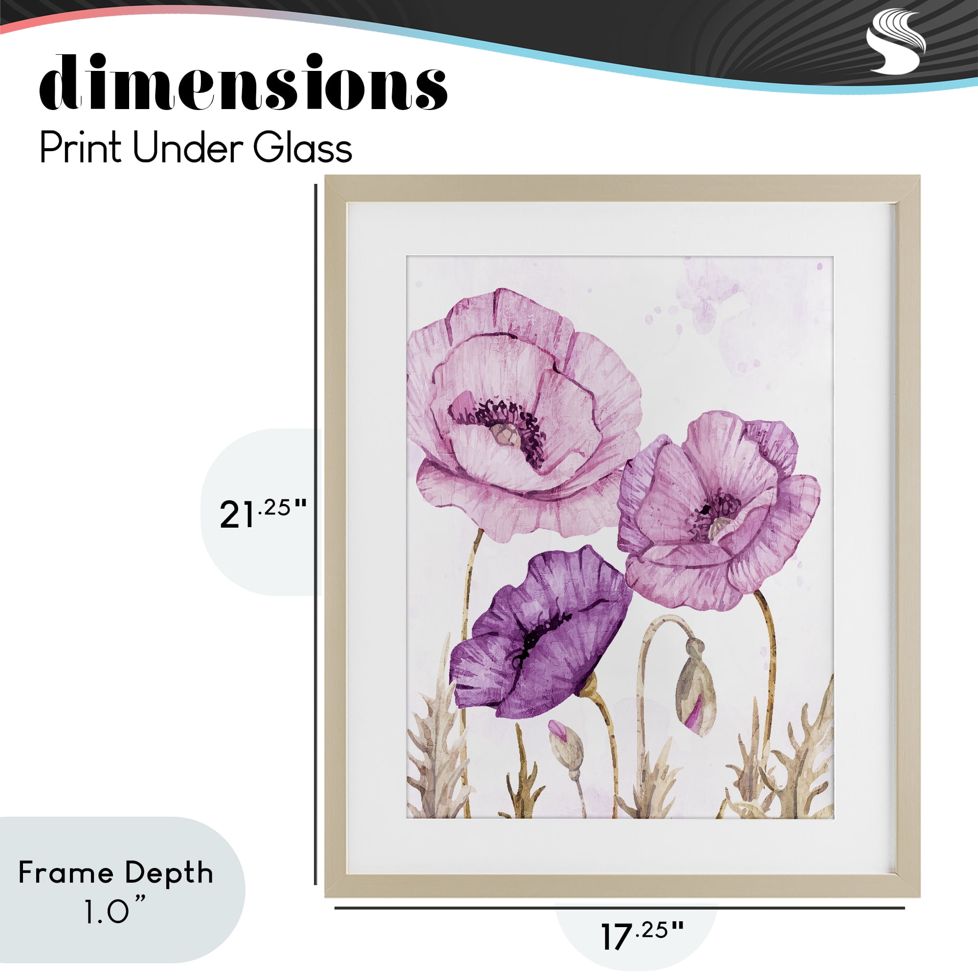 Stupell Industries Bright Purple Poppies Birch Framed Print Under Glass, design by Kim Allen