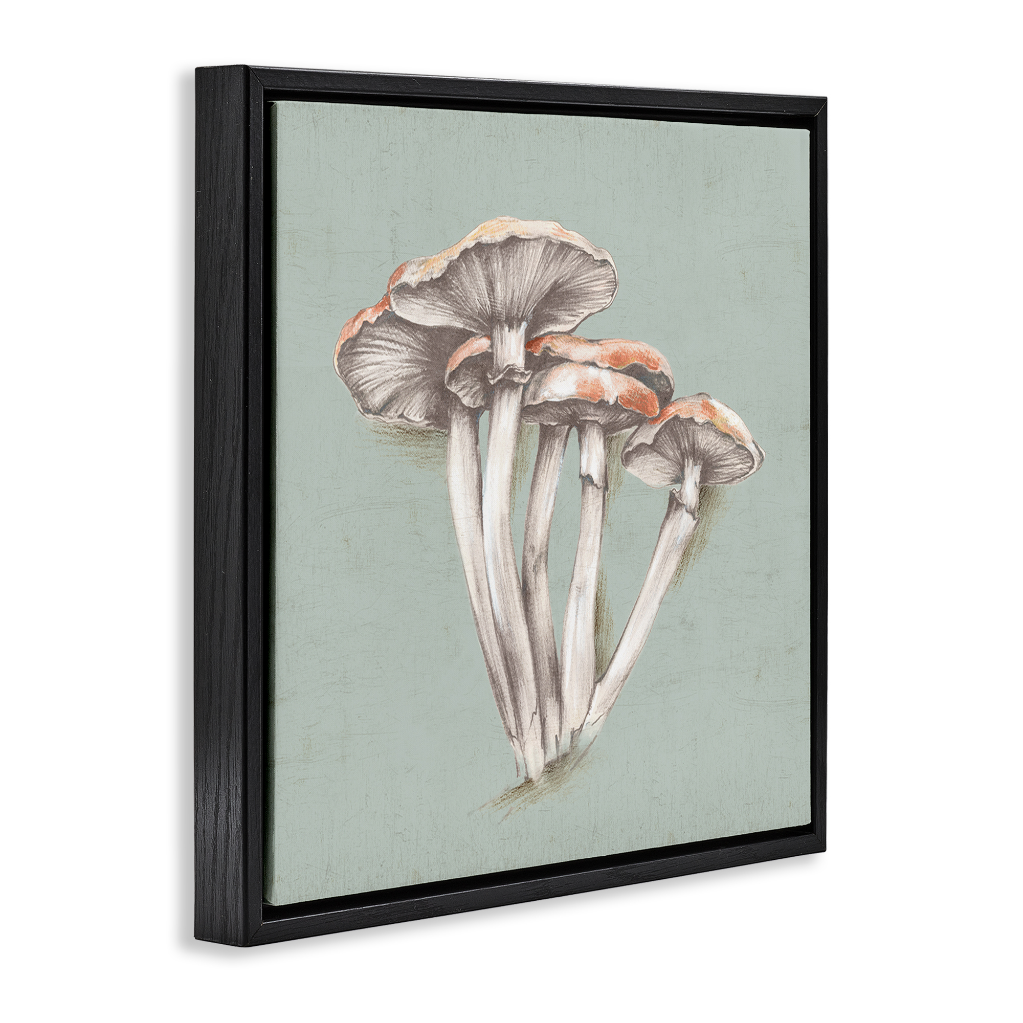 Stupell Industries Mushroom Bundle Drawing Plants & Flowers Painting Black Floater Framed Canvas Art Print Wall Art, 18 x 18