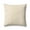 Beige / Natural, variant on Loloi PLL0193 Beige / Natural 22'' x 22'' Decorative Pillow