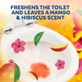 thumbnail image 5 of Lysol® Toilet Bowl Cleaner Gel, for Cleaning and Disinfecting, Stain Removal, Brand New Day, Mango and Hibiscus, 24 fl oz, 5 of 9