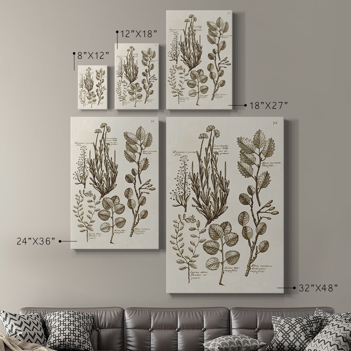 Sepia Botanical Journal VIII Premium Gallery Wrapped Canvas - Ready to Hang