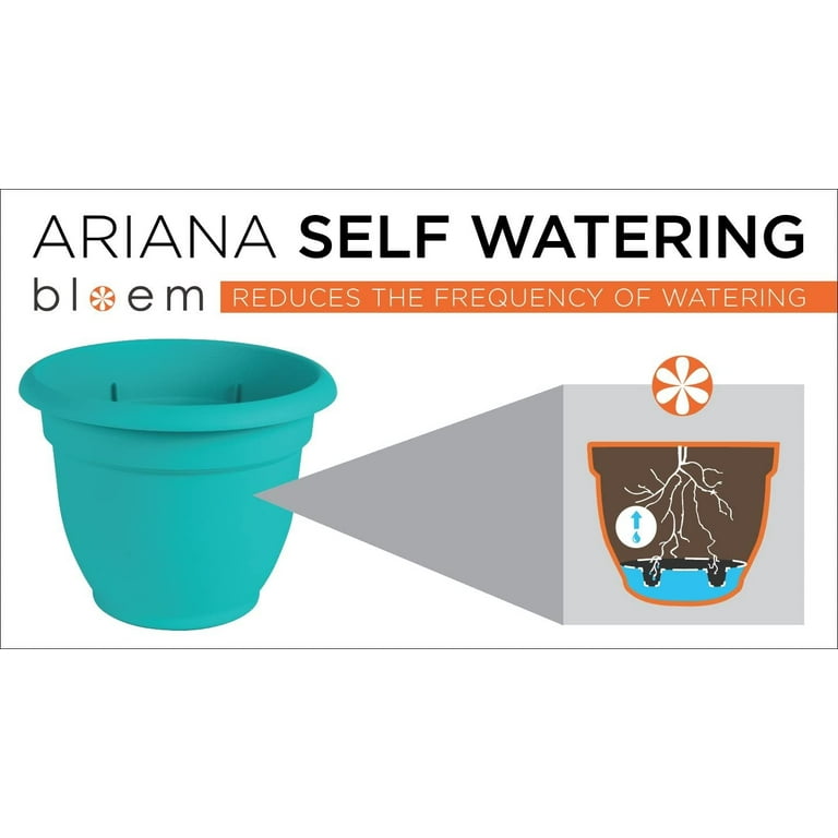 Bloem Ariana Self Watering Planter 6 Bloem Ariana Self Watering Planter 6