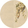 thumbnail image 1 of Ahgly Company Machine Washable Indoor Square Transitional Golden Blonde Gold Area Rugs, 3' Square, 1 of 7
