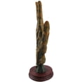 thumbnail image 2 of Alchemy Mummified Palmistry Hand Gothic, 2 of 4