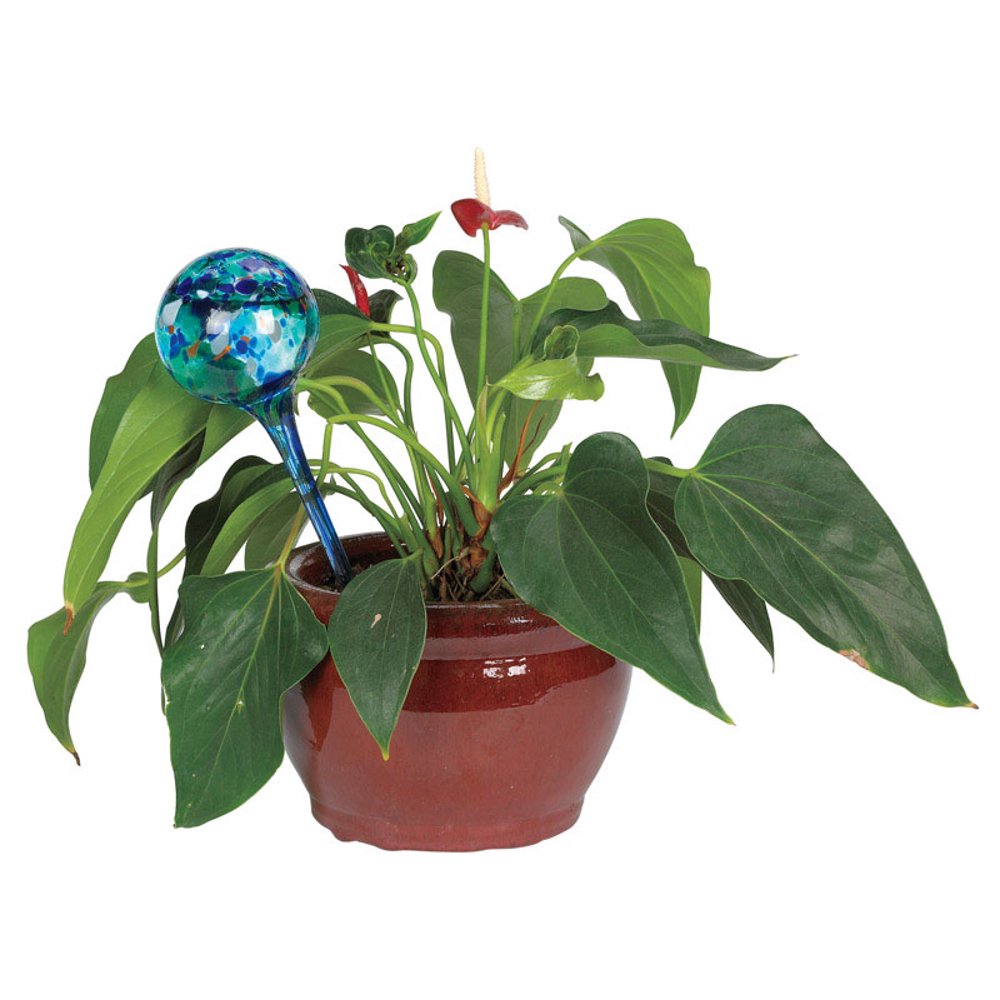 Aqua Globe As Seen On TV Assorted 0.16 gal. Glass Aqua Globe Walmart