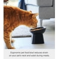 thumbnail image 2 of Yamazaki Home Tilted Pet Food Bowl, Black, Ceramic, 6.7oz, Dishwasher Safe, 2 of 7