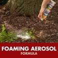 thumbnail image 2 of Weed & Grass Foaming Edger 17 Ounces, Aerosol, For Edging Along Yards - pack of 12, 2 of 13