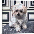 thumbnail image 1 of ARTCANVAS Havanese Dog Breed Polka Dots Puppy Canvas Art Print - Size: 12" x 12" (0.75" Deep), 1 of 9
