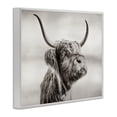 thumbnail image 2 of Stupell Industries Rustic Lodge Horned Highland Cow Gazing White Framed Giclee Art, 20 x 16, by Julia Frost, 2 of 8