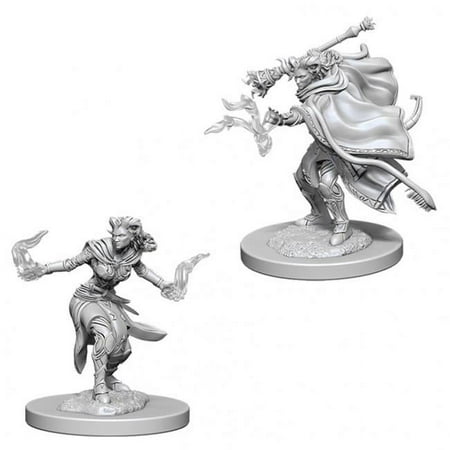WizKids WZK73389 Female Tiefling Warlock W6 Dungeons & Dragons Nolzurs Marvelous Miniatures