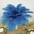 thumbnail image 4 of Zucker Feather Products Ostrich Feathers - Drabs Selected - 13 - 16" - Dark Turquoise, 4 of 7