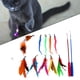 thumbnail image 4 of Teaser interactivo de plumas para , juguetes de varita retráctil con 10 , entrenamiento de ejercicio, suministros de juguetes para jugar Yinane Gatito Teaser Juguetes, 4 of 8