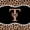 Black Brown T, variant on Manfei Leopard Print Letter H Bow Twin Bedding Sets, Fashion Diamond Bedding Comforter Set for Girls Women, Black Reversible, 7 Pieces
