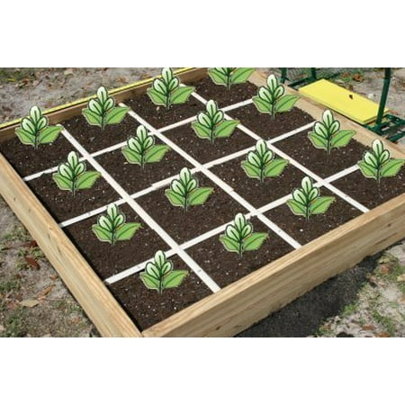 Mr. Garden 4ftx4ft Grid Kit for Raised Bed, Square Foot ...