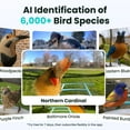 thumbnail image 3 of Birdfy Smart Bird Feeder with Camera for Bird Feeding and Watching - 1.5 lb Capacity, Blue, 3 of 9