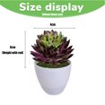 thumbnail image 2 of Suculentas de loto Jiwal de simulación, suministros creativos DIY, accesorios, plantas verdes artificiales, 6 uds., 2 of 5