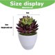 thumbnail image 2 of Suculentas de loto Jiwal de simulación, suministros creativos DIY, accesorios, plantas verdes artificiales, 6 uds., 2 of 5