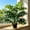 A, variant on YingYouFu Artificial Philodendron Bipinnatifidum Potted Plants Indoor Desktop Plants, Faux Split Leaf Philodendron for Home Decoration in Living Rooms, Offices and Bedrooms