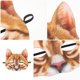 thumbnail image 2 of GOOHOCHY 1 máscara de medio ojos para cosplay, máscara de gato, divertida máscara de gato para disfraz, carnaval, banquete de Halloween (estilo gato naranja), 2 of 7