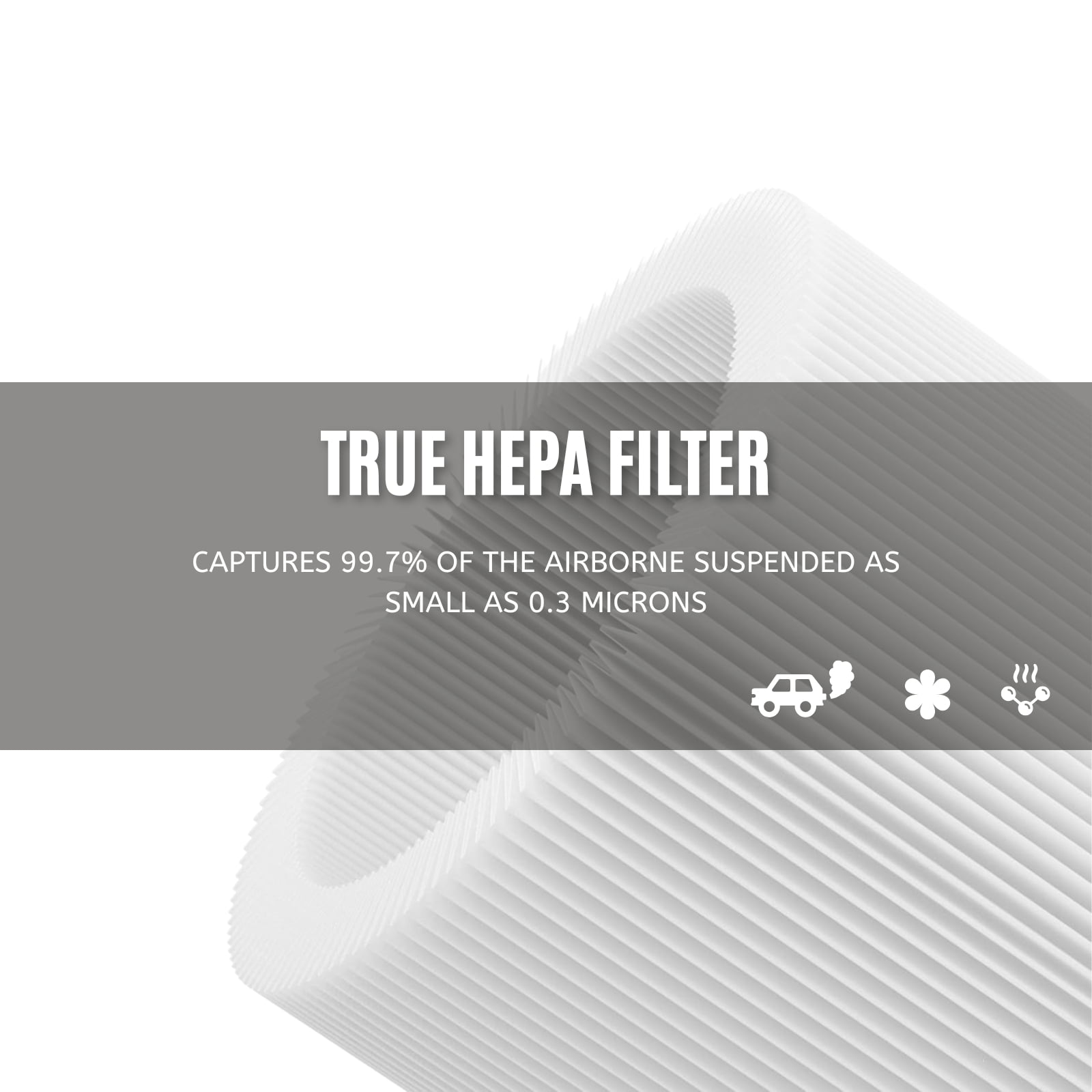 Nispira TD-1300 4-in-1 True HEPA Replacement Filters Compatible with Tredy TD-1300, Tenergy Renair, Cool-Living CL-6070A, BEABA Air Purifier, 2 Packs