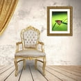 thumbnail image 3 of Putman, Tammy 26x32 Gold Ornate Wood Framed with Double Matting Museum Art Print Titled - Monarch Stained Glass, 3 of 4