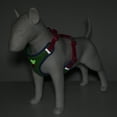 thumbnail image 4 of Cooling Mesh Dog Harness S Size from Toy Doggie Expression Collection, 4 of 17
