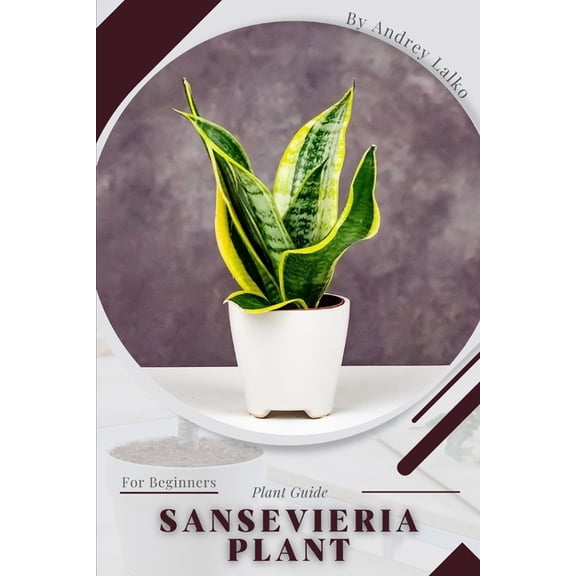 Sansevieria Plant: Plant Guide (Paperback)