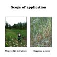 thumbnail image 3 of Strimmer Brush Cutter Lawn Mower Garden Grass Trimmer Blade Weed Head, 3 of 9