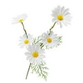 thumbnail image 1 of Daisy Home Decoration Chamomile Artificial Flowers Handmade 10pcs Lifelike Artificial Flowers, 1 of 5