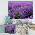 thumbnail image 2 of Designart ' Blooming Purple Lavender Meadow ' Farmhouse Canvas Wall Art Print, 2 of 4