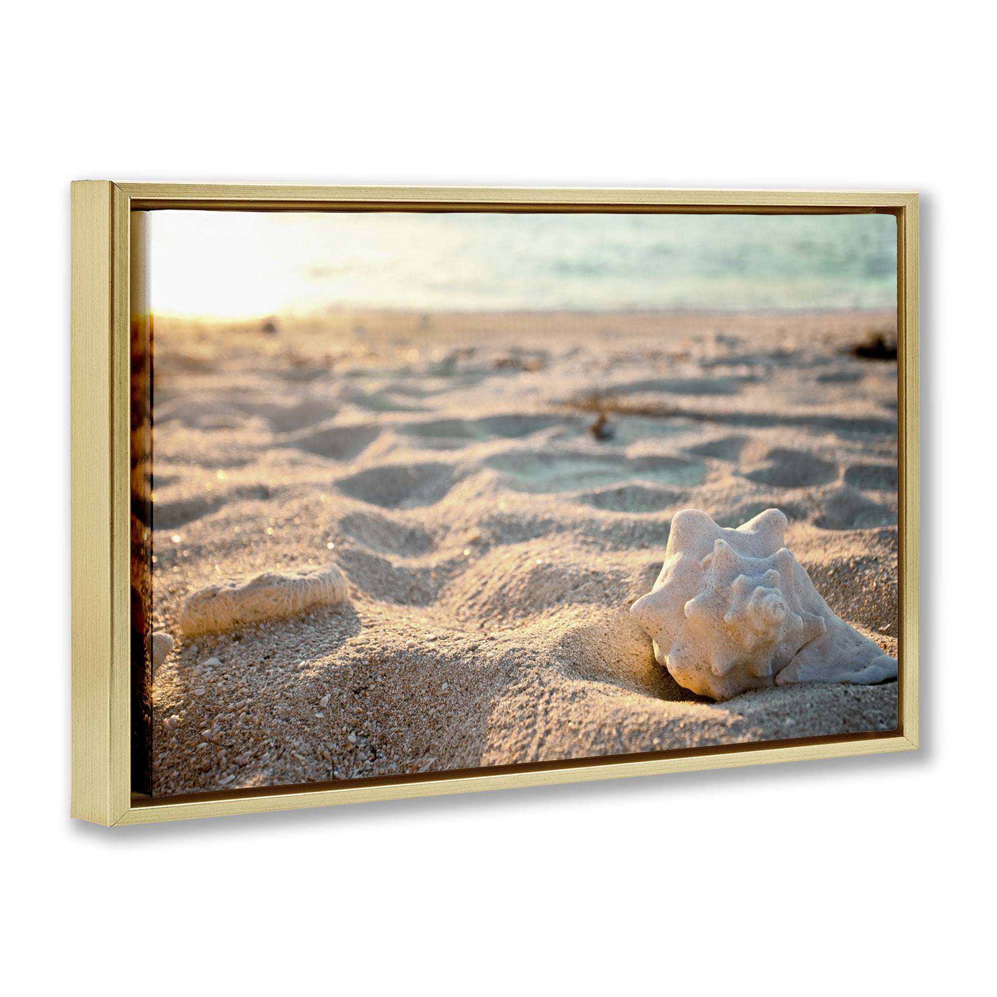 Stupell Industries Conch Shell in Sand Coastal Photography Gold Floater Framed Canvas Art Print Wall Art, 25 x 17