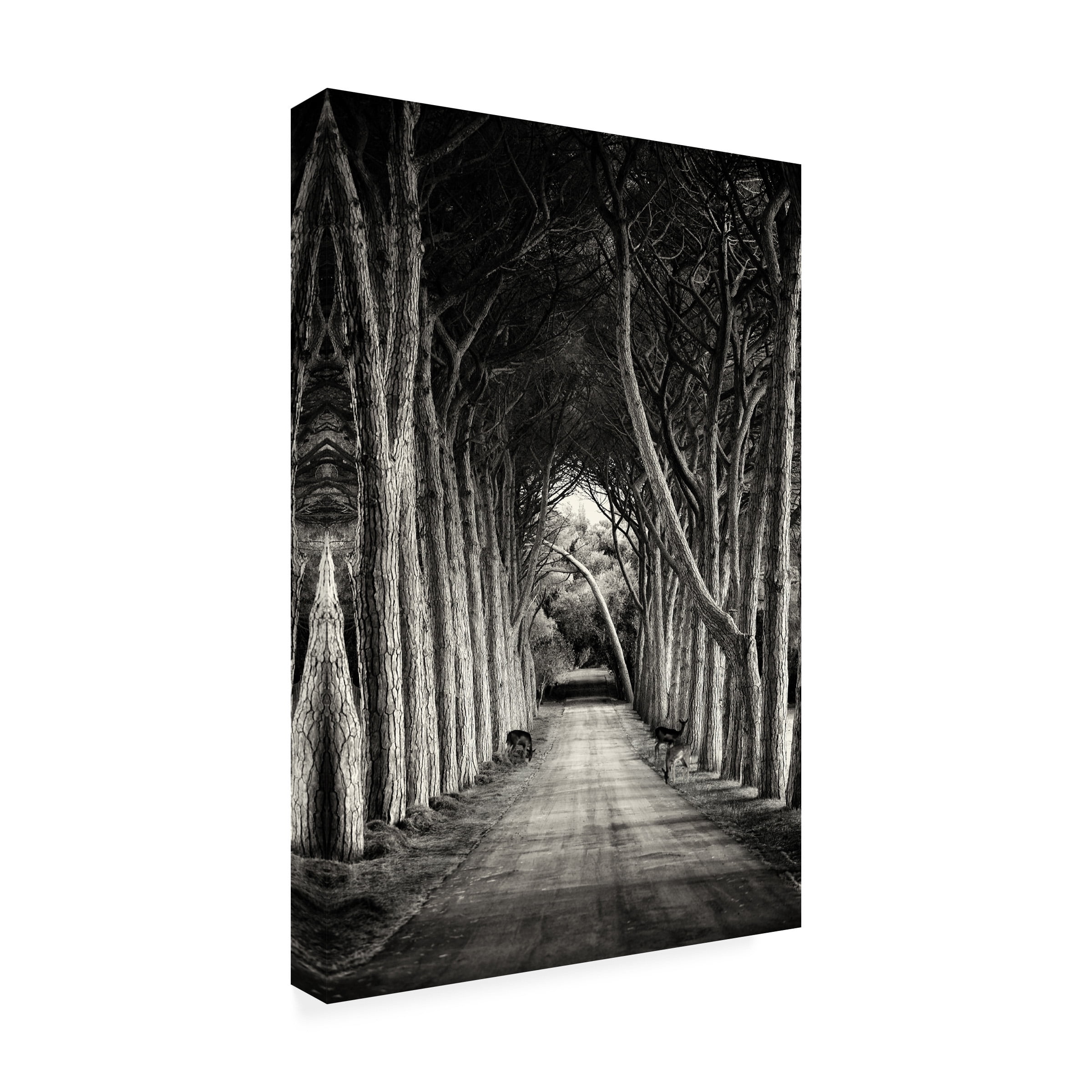 Sandra 'Path' Canvas Art