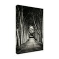 thumbnail image 4 of Sandra 'Path' Canvas Art, 4 of 4