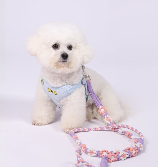 dgysar Handmade Braided Dog Leash with Floral Design Soft Cotton Rope 59in Safe and Lightweight Lead for Small Medium Dogs c 1PC