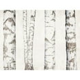 thumbnail image 3 of Bailey, Ann 18x15 Black Modern Framed Museum Art Print Titled - Birches, 3 of 5