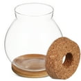 thumbnail image 4 of Desktop Fish Bowl Hydroponic Terrarium Glass Small Fish Tank with Bamboo Cushion, 4 of 6