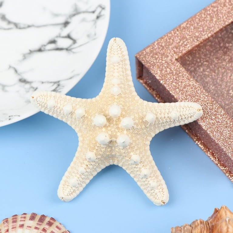 Faux Starfish Lifelike Realistic Plastic Cute Artificial Starfish Sea Star  for Crafts Making Beach Theme Party Wedding Decoration, Home Wall Decor
