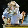 thumbnail image 2 of Émetteur de Fumée d'Abeille Équipement en Acier Inoxydable Fournitures d'Outils pour Boîte de Ruche pour Ruche Fabricant Manuel de Fumée d'Abeille avec Crochets Suspendus Outils Résistant à Haute Chaleur Acier Standard, 2 of 5