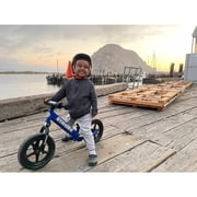 Strider 12 Sport Bike, Blue - No Pedal Balance Bicycle for Kids 1 to 4 Years - Includes Safety Pad, Padded Seat,Mini Grips, Flat-Free Tires -Easy Assembly, Tool-Free Adjustments
