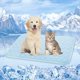 thumbnail image 1 of Upgrade Self-Cooling Mat for Dogs & Cats - Washable Pet Cooling Pad, Foldable Dog Cooling Mat Pet Cool Blanket for Indoor or Outdoor, 1 of 5